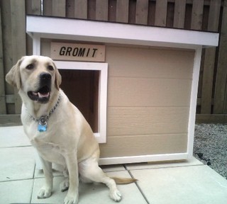 Gromit - Ontario